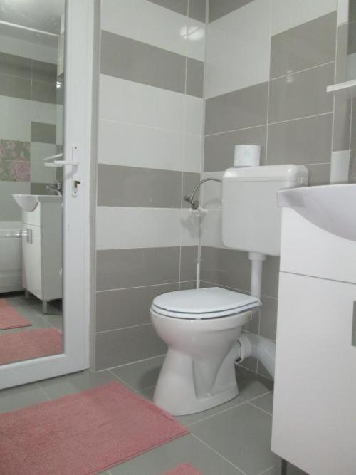 Apartament Sarra Targoviste Zewnętrze zdjęcie